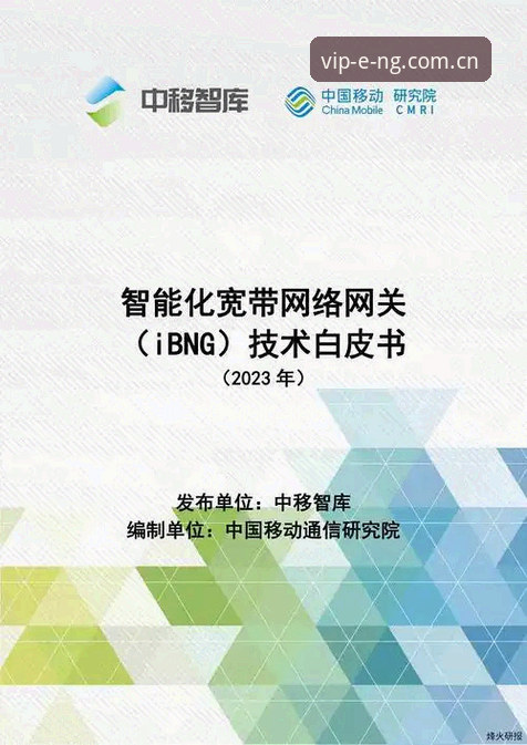 深度揭秘：NG娱乐最新版本V3.1背后的技术革新与用户体验真相